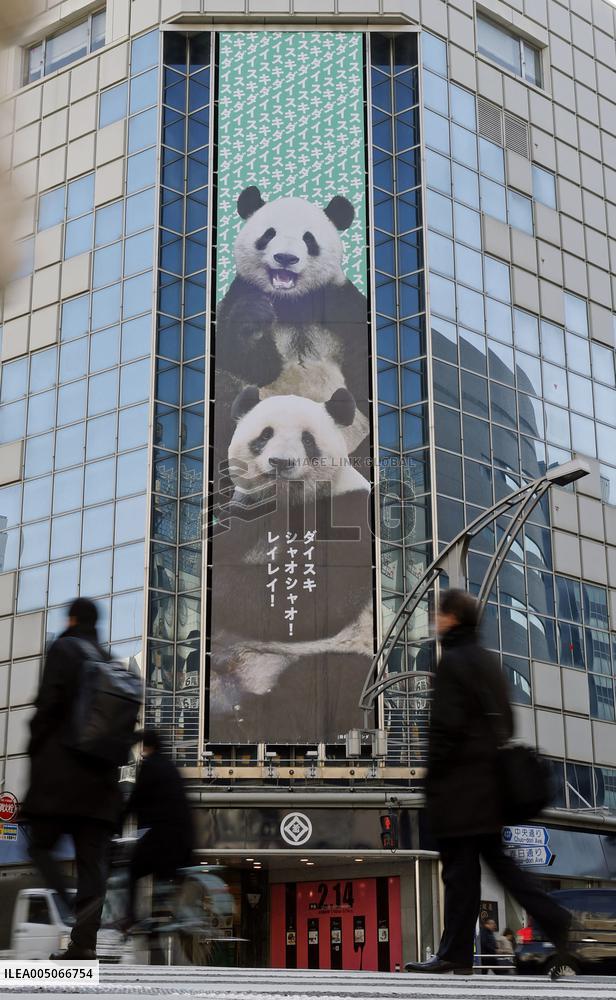 China return for Ueno zoo pandas
