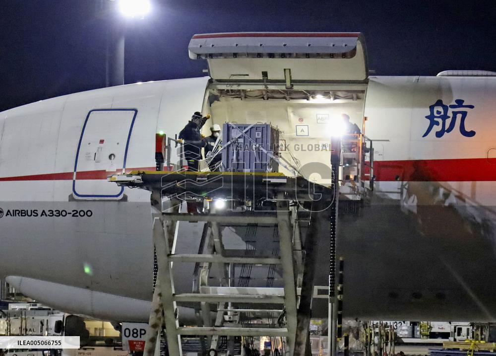 China return for Ueno zoo pandas