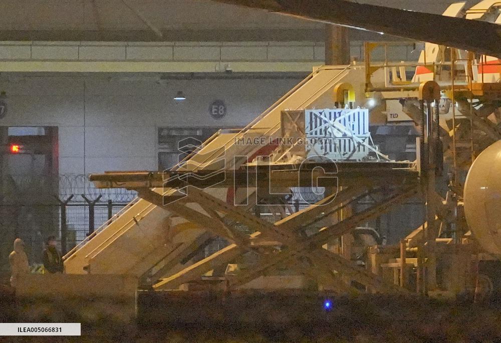 Twin giant pandas' arrival in China from Japan