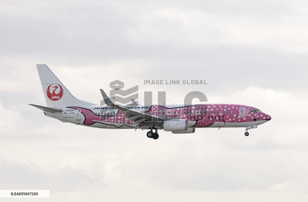 Japan Transocean Air (JTA) aircraft image