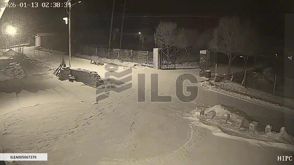 China: Wild Siberian Tiger Roams Residential Area in Jilin