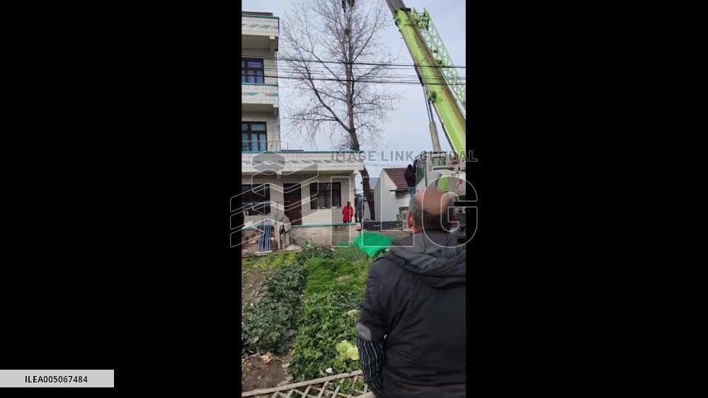 China: Crane Truck Overturns During Tree Lift in Jiangsu