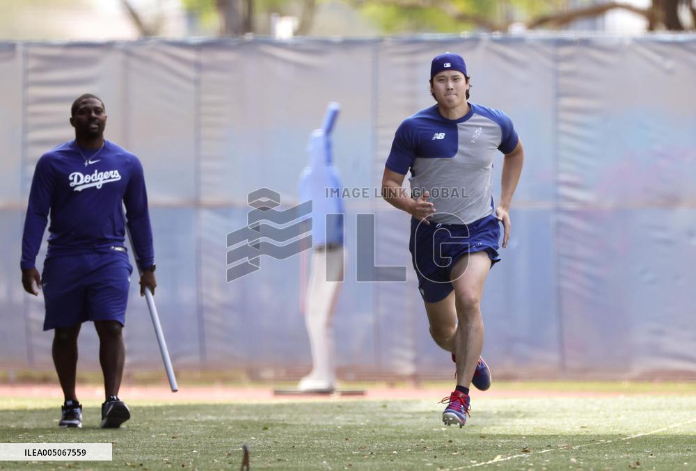 Baseball: MLB training