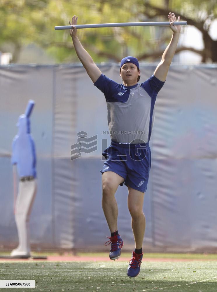 Baseball: MLB training