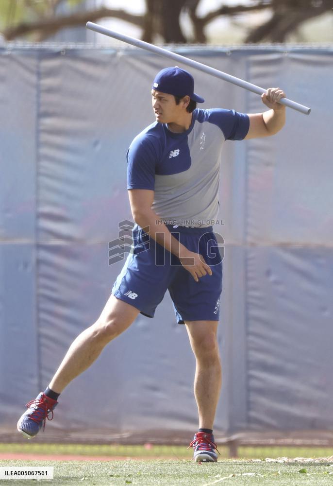 Baseball: MLB training