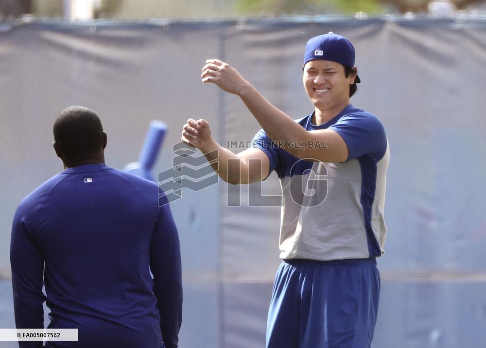 Baseball: MLB training