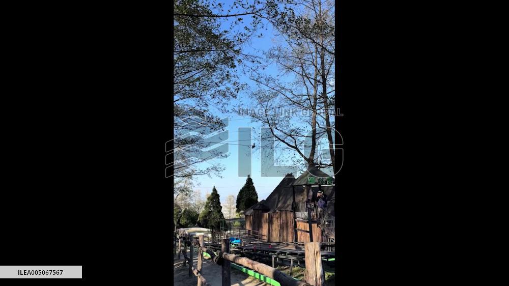 China: Squirrel Performs Gymnastic-Like Moves on Overhead Power Line