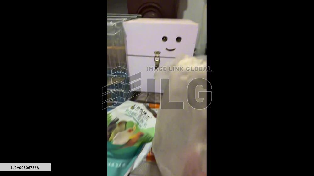 China: ‘Smiling Face’ Optical Illusion Box Created by Parrots