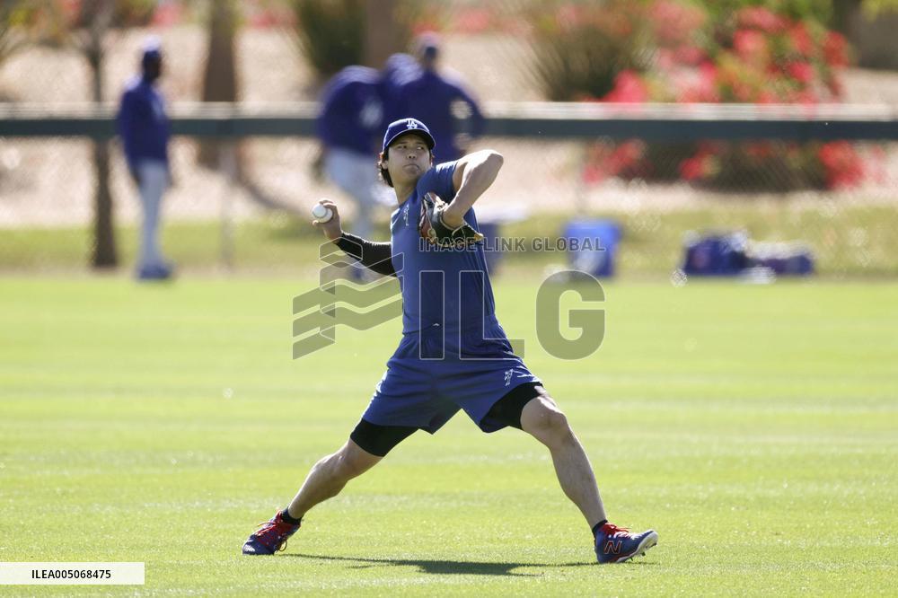 Baseball: MLB training