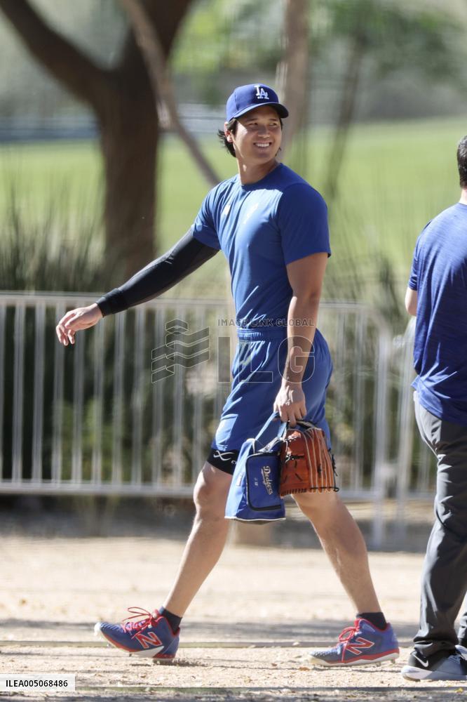 Baseball: MLB training