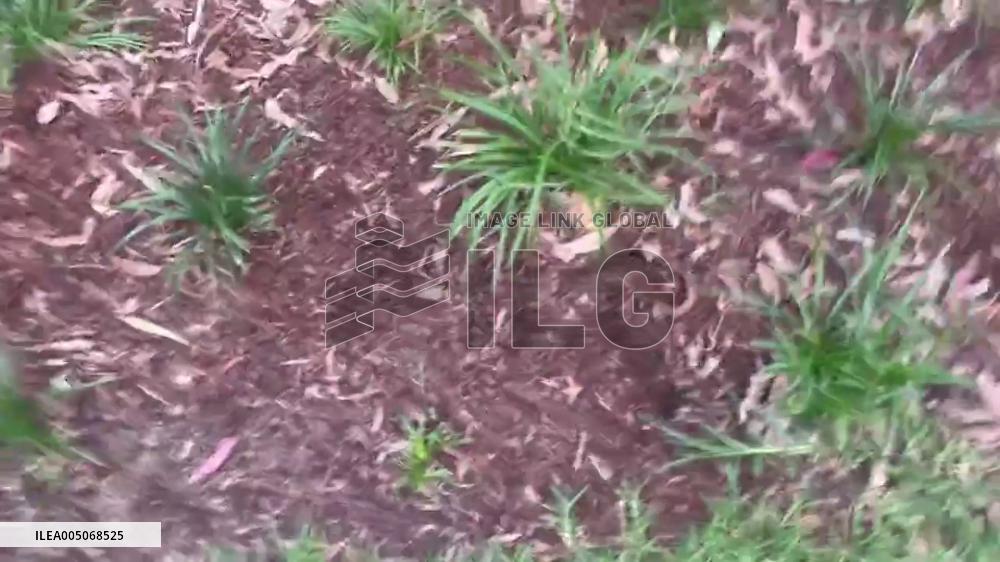 Australia: Rally Held at Surry Hills Police Station After Herzog Protest Clashes 2