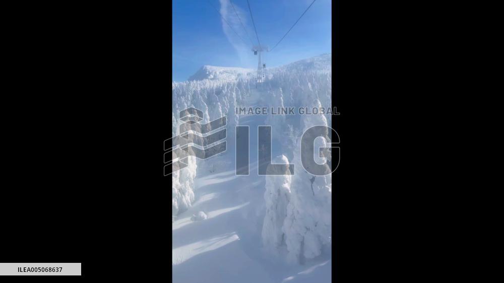 Japan: Stunning ‘Snow Monsters’ on Mount Zao Delight Visitors