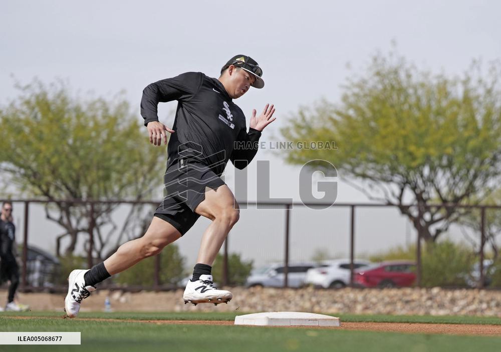 Baseball: MLB training