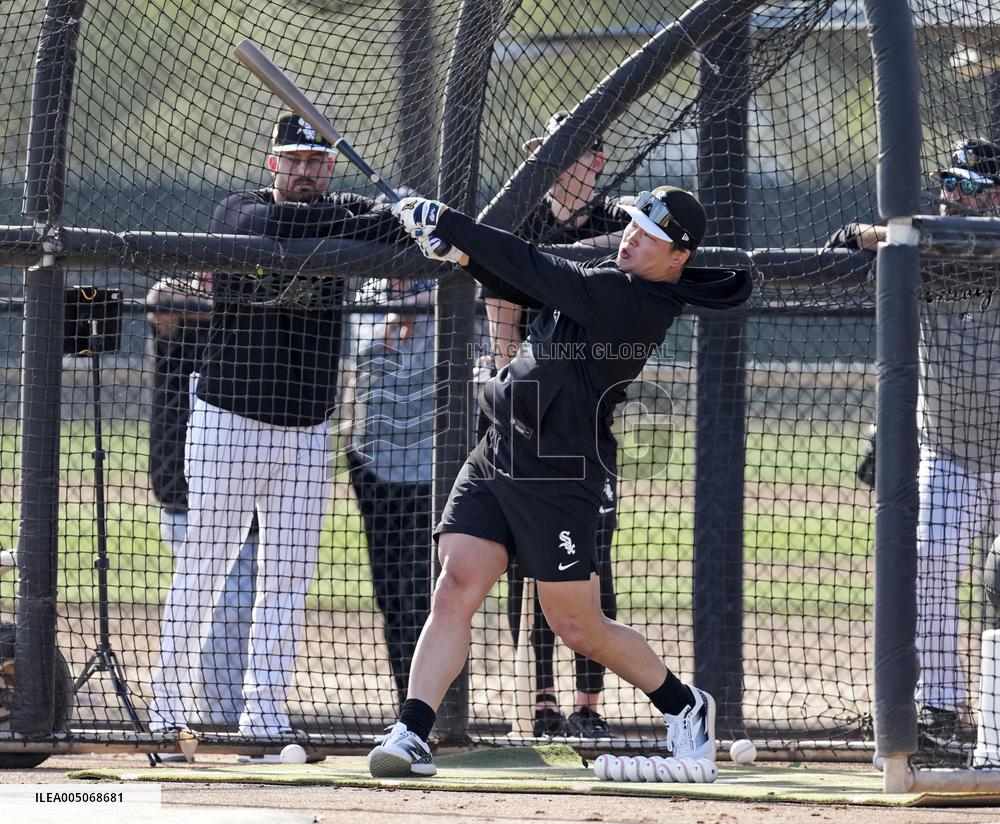 Baseball: MLB training