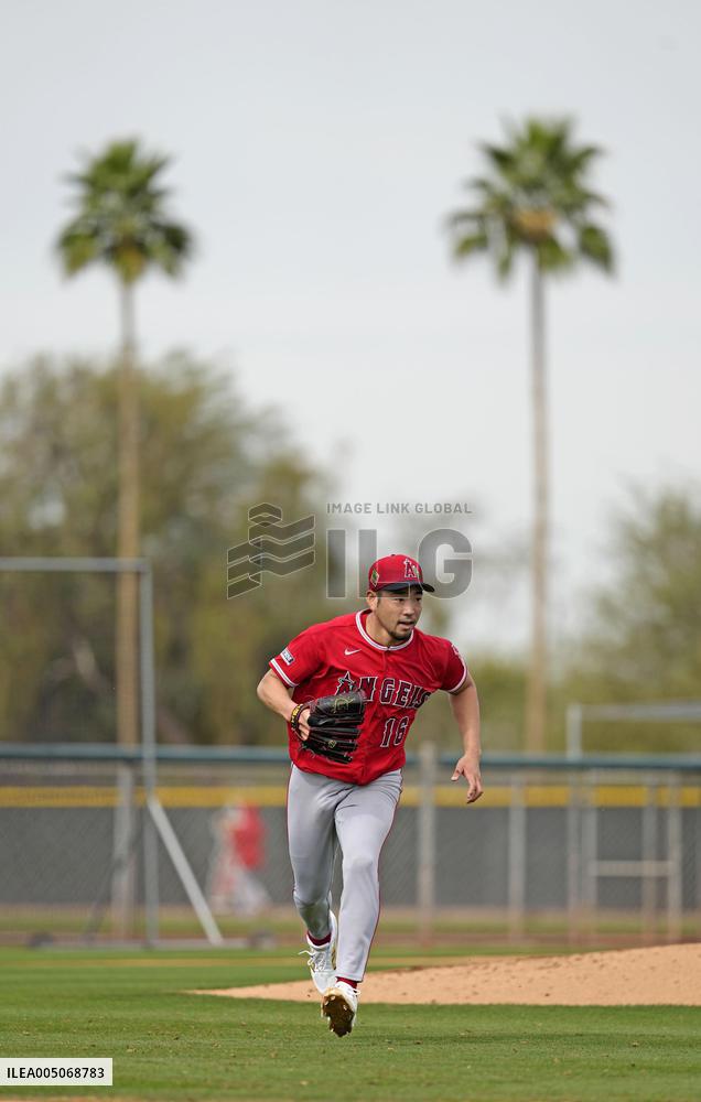 Baseball: MLB spring training