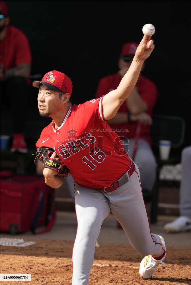 Baseball: MLB spring training