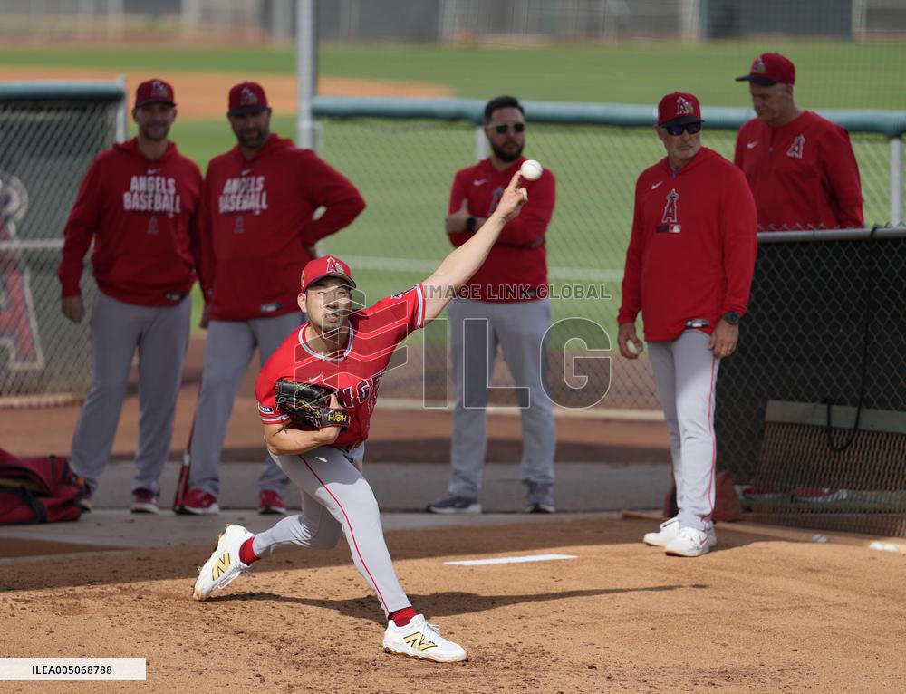 Baseball: MLB spring training