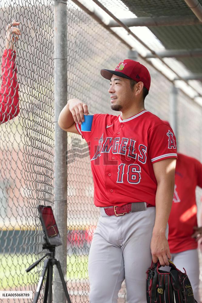 Baseball: MLB spring training