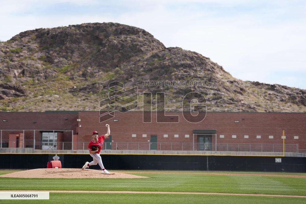 Baseball: MLB spring training