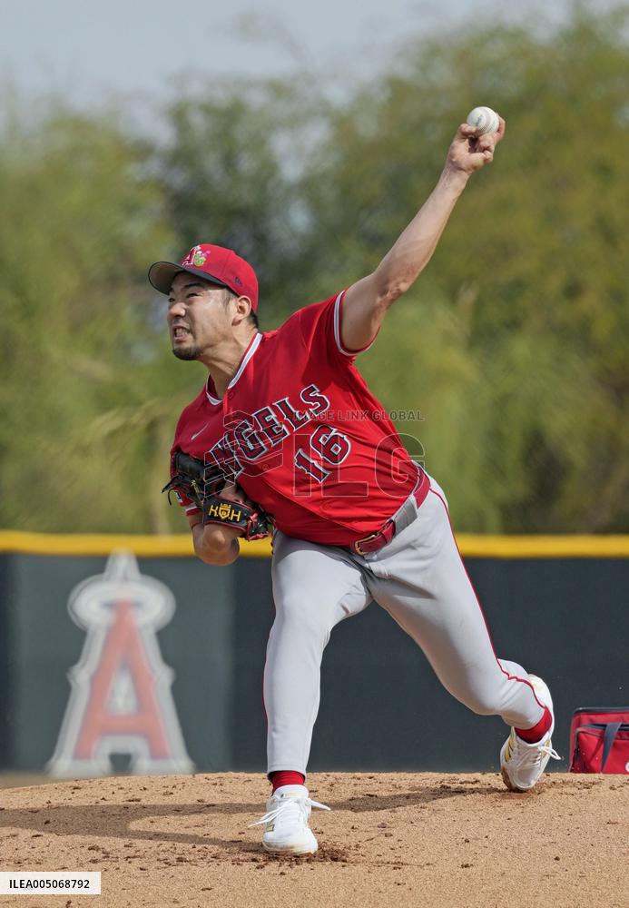 Baseball: MLB spring training