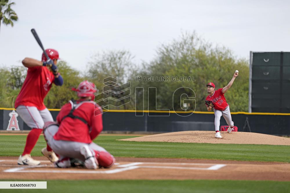 Baseball: MLB spring training