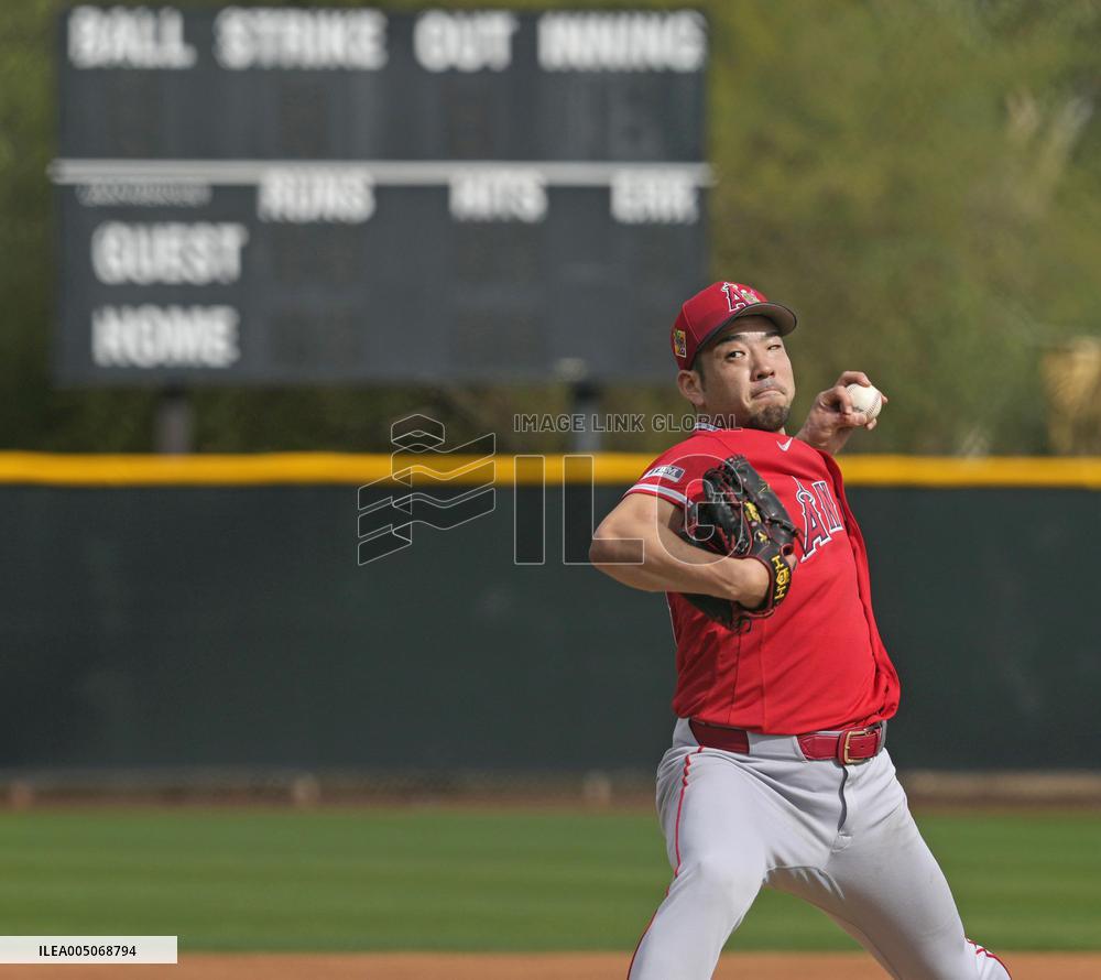 Baseball: MLB spring training