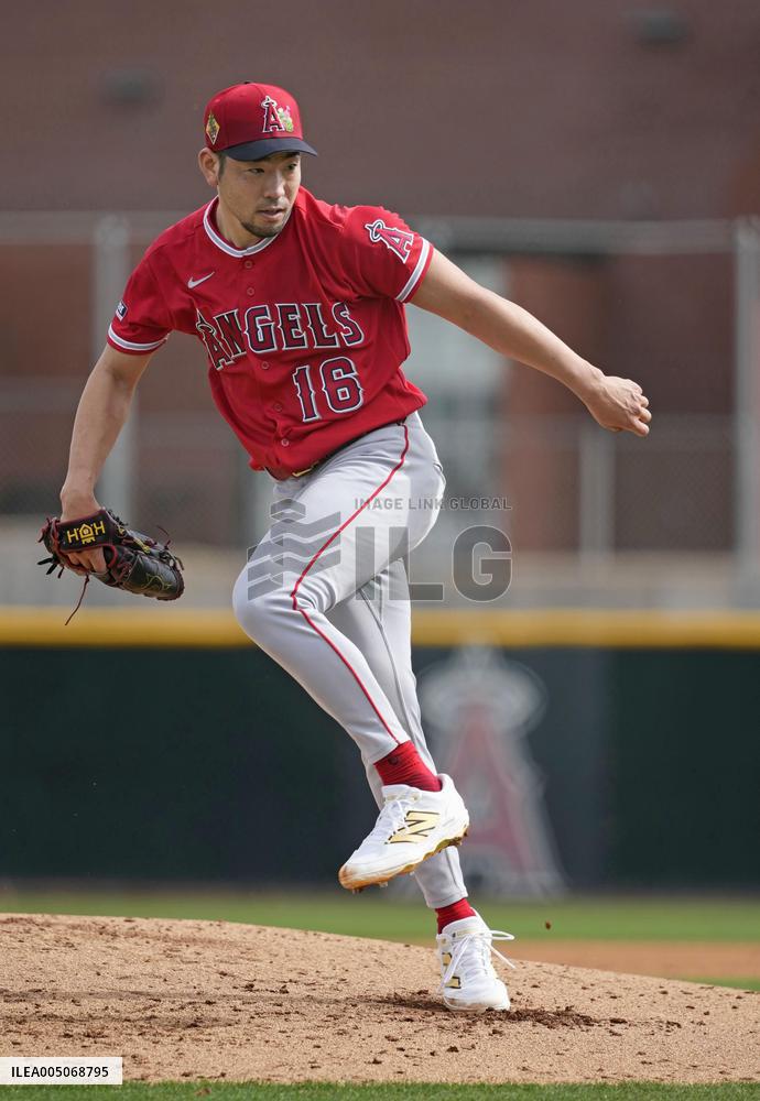 Baseball: MLB spring training