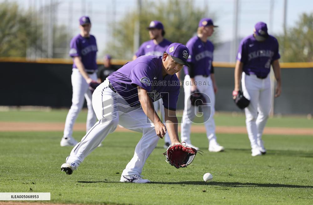 Baseball: MLB spring training