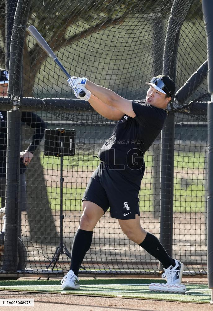 Baseball: MLB spring training