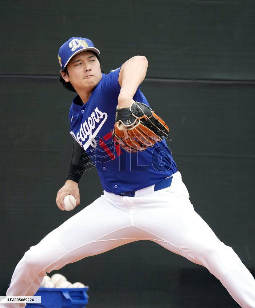 Baseball: MLB spring training