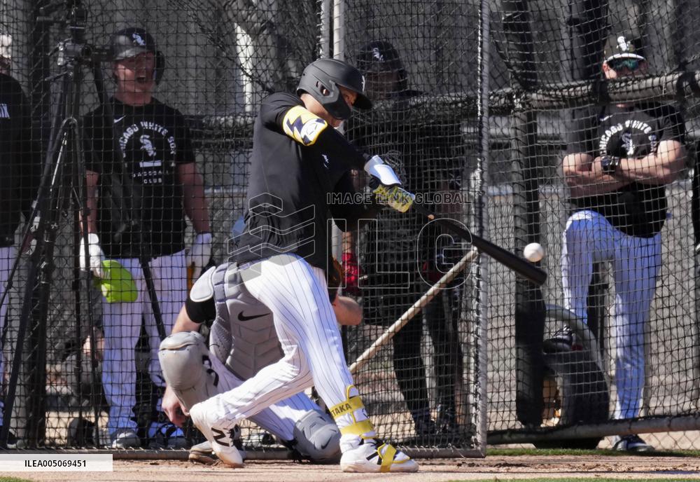 Baseball: MLB spring training