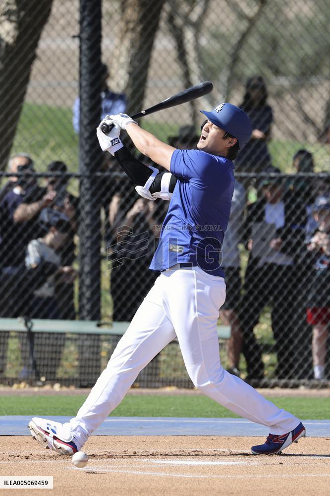 Baseball: MLB spring training