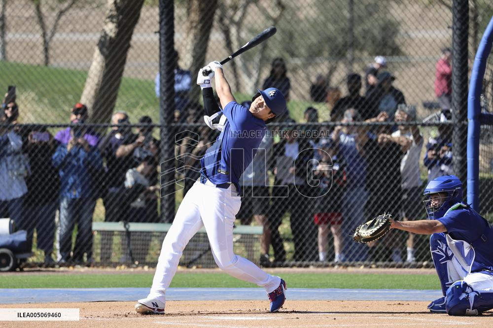 Baseball: MLB spring training