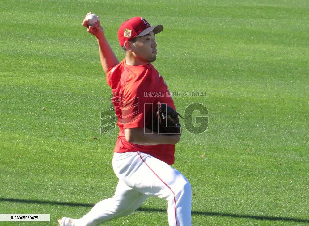 Baseball: MLB spring training