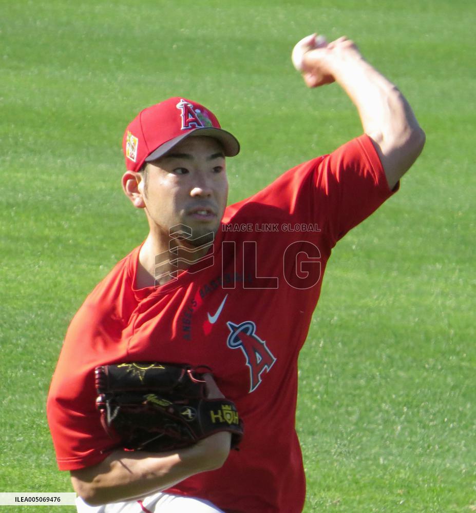 Baseball: MLB spring training