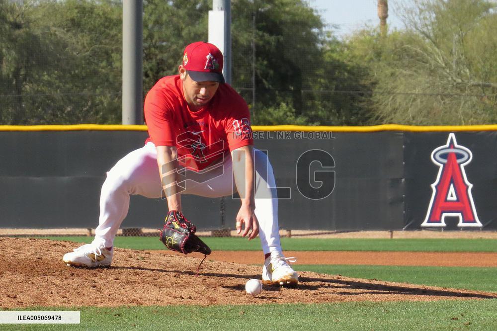 Baseball: MLB spring training