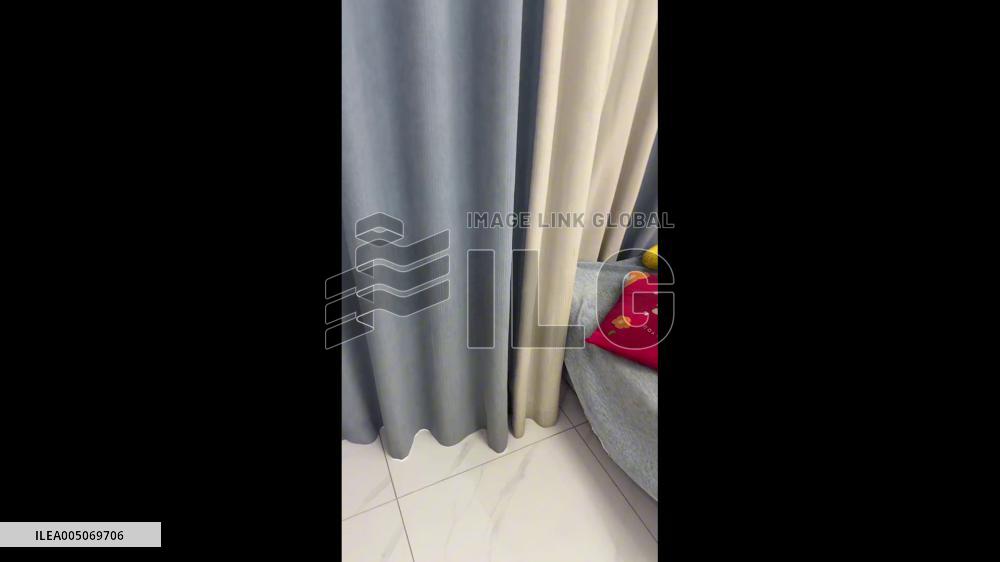 China: Dog Dressed in Human Clothes Sits Upright on Sofa