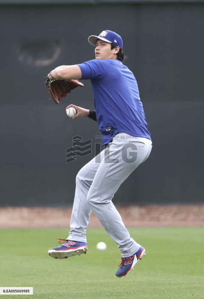 Baseball: MLB spring training