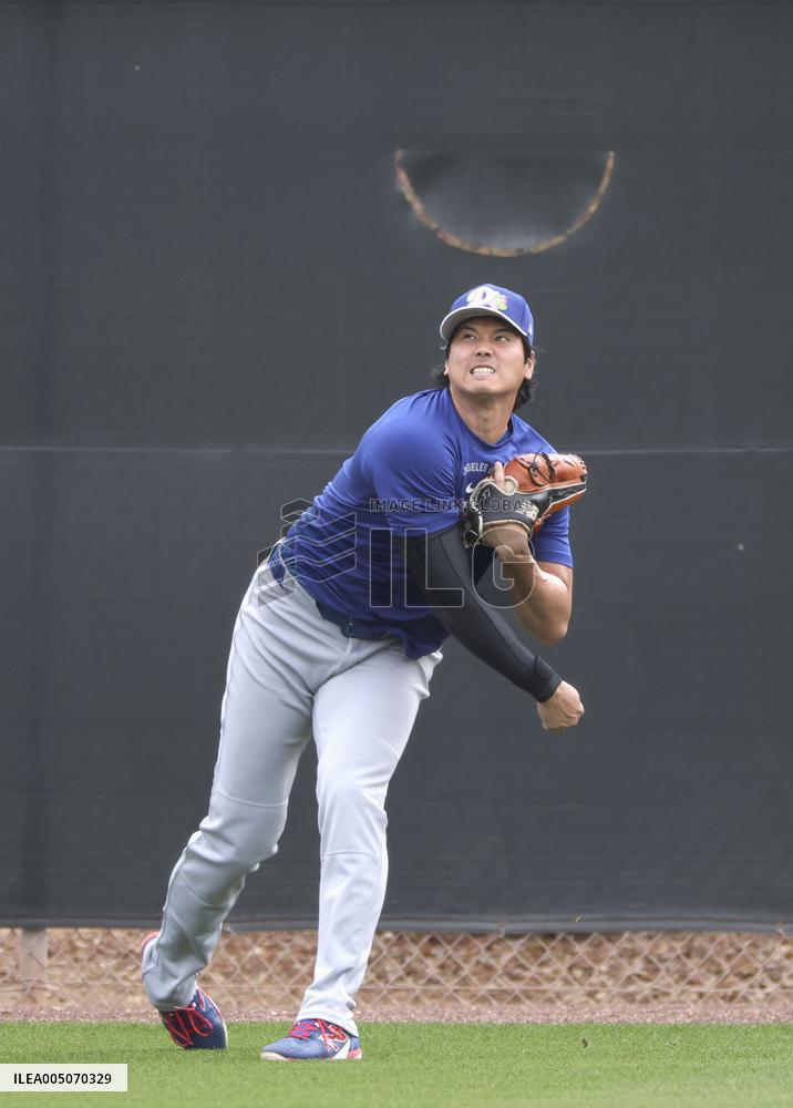 Baseball: MLB spring training