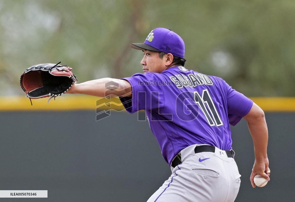 Baseball: MLB spring training