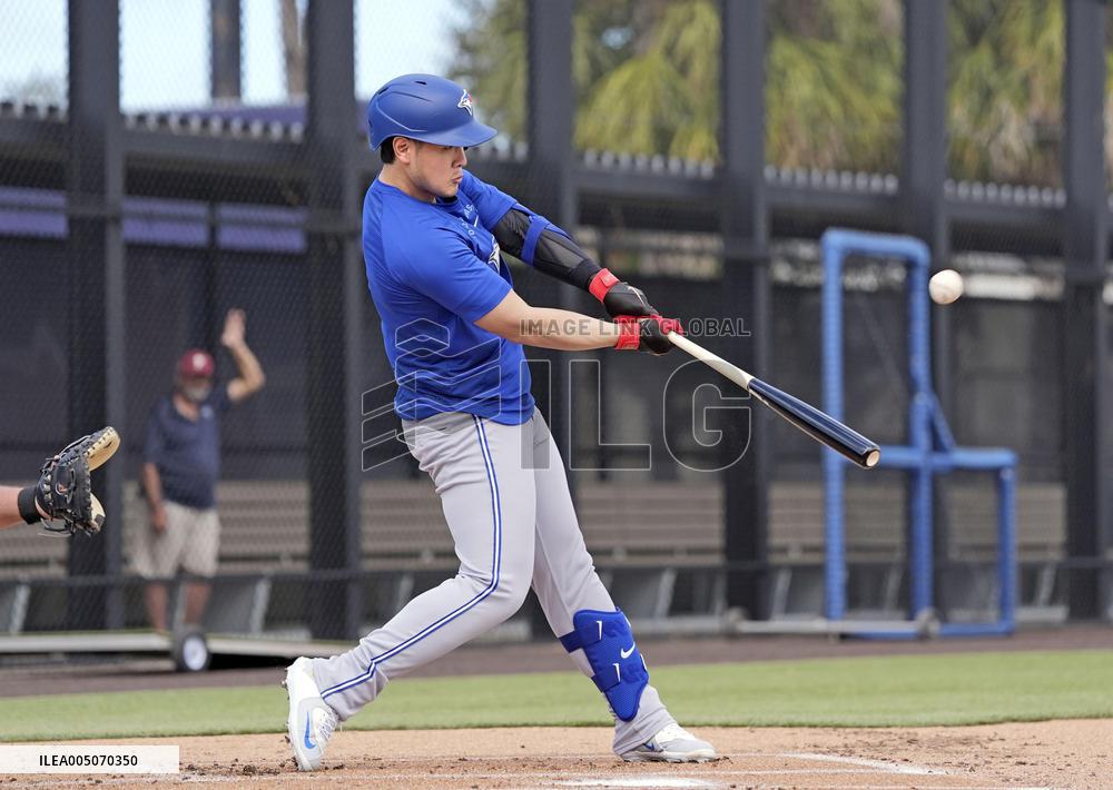 Baseball: MLB spring training