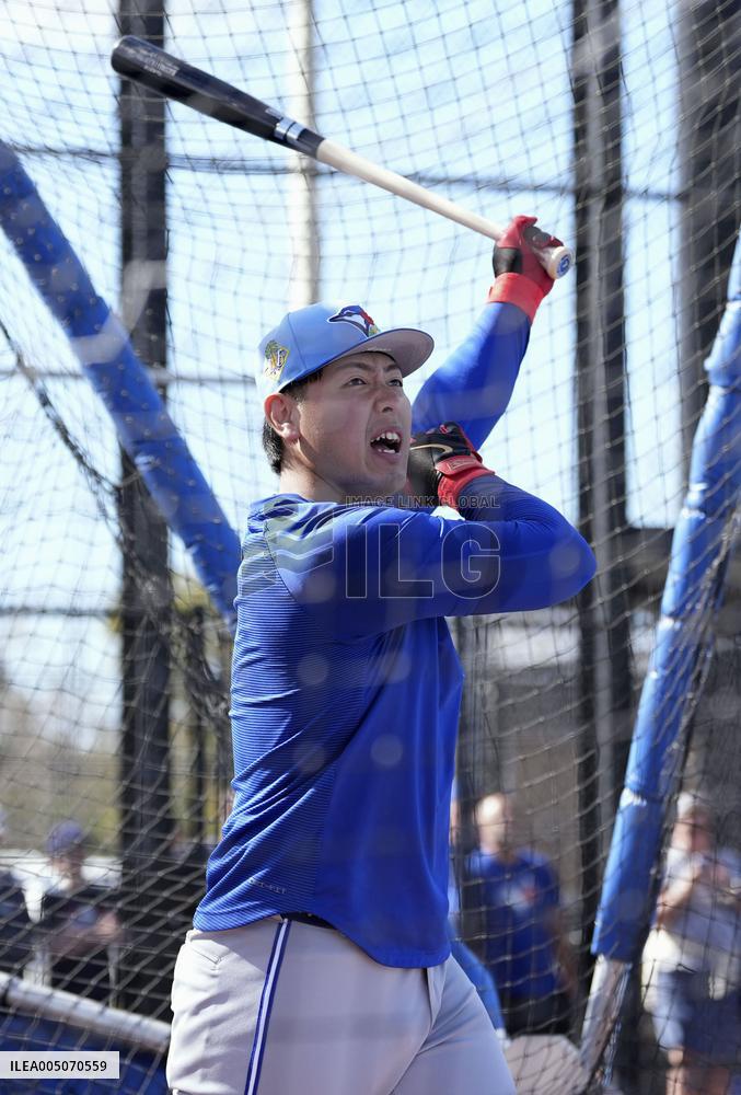 Baseball: MLB spring training