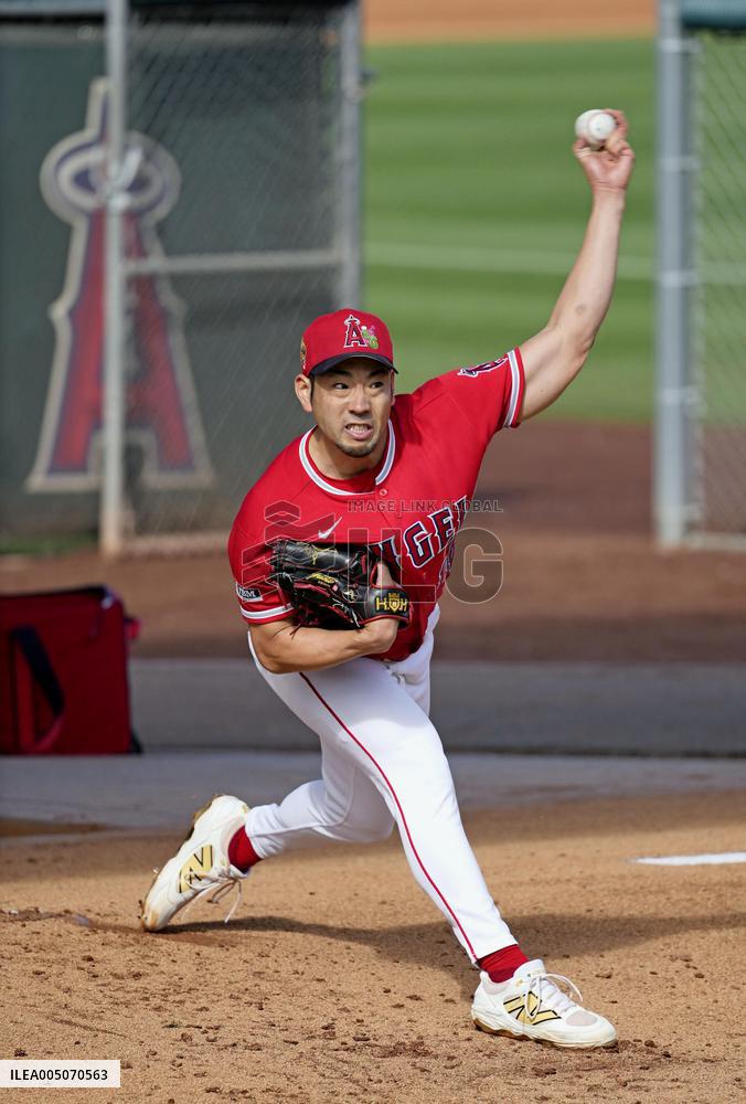 Baseball: MLB spring training