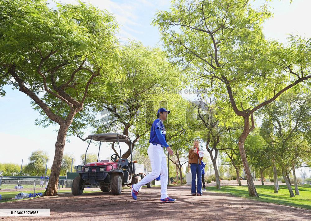 Baseball: MLB spring training