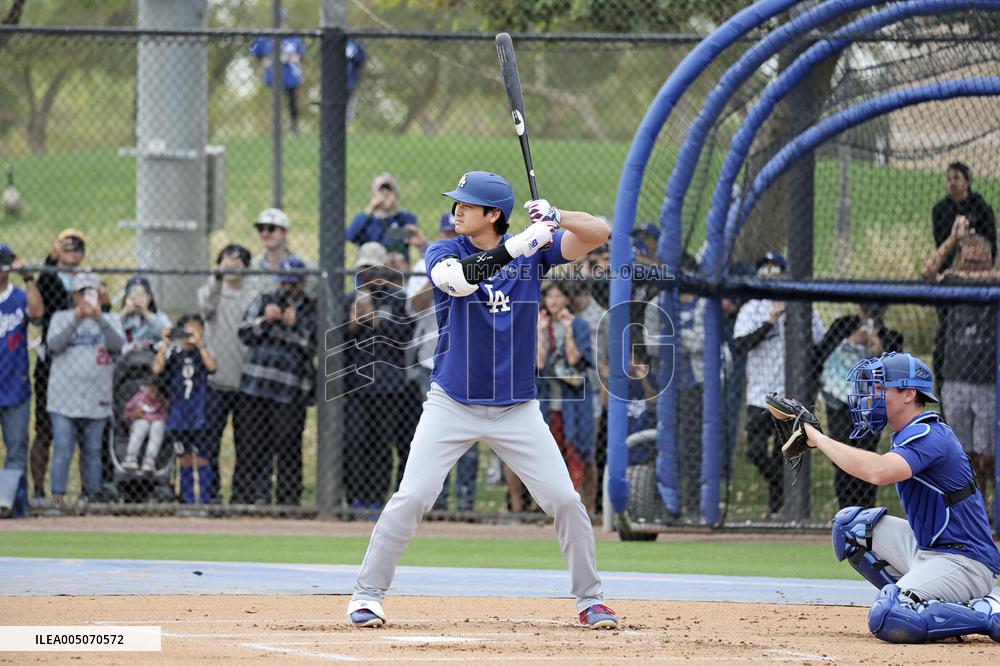 Baseball: MLB spring training