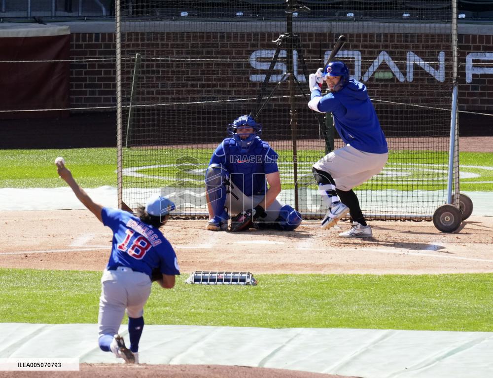 Baseball: MLB spring training