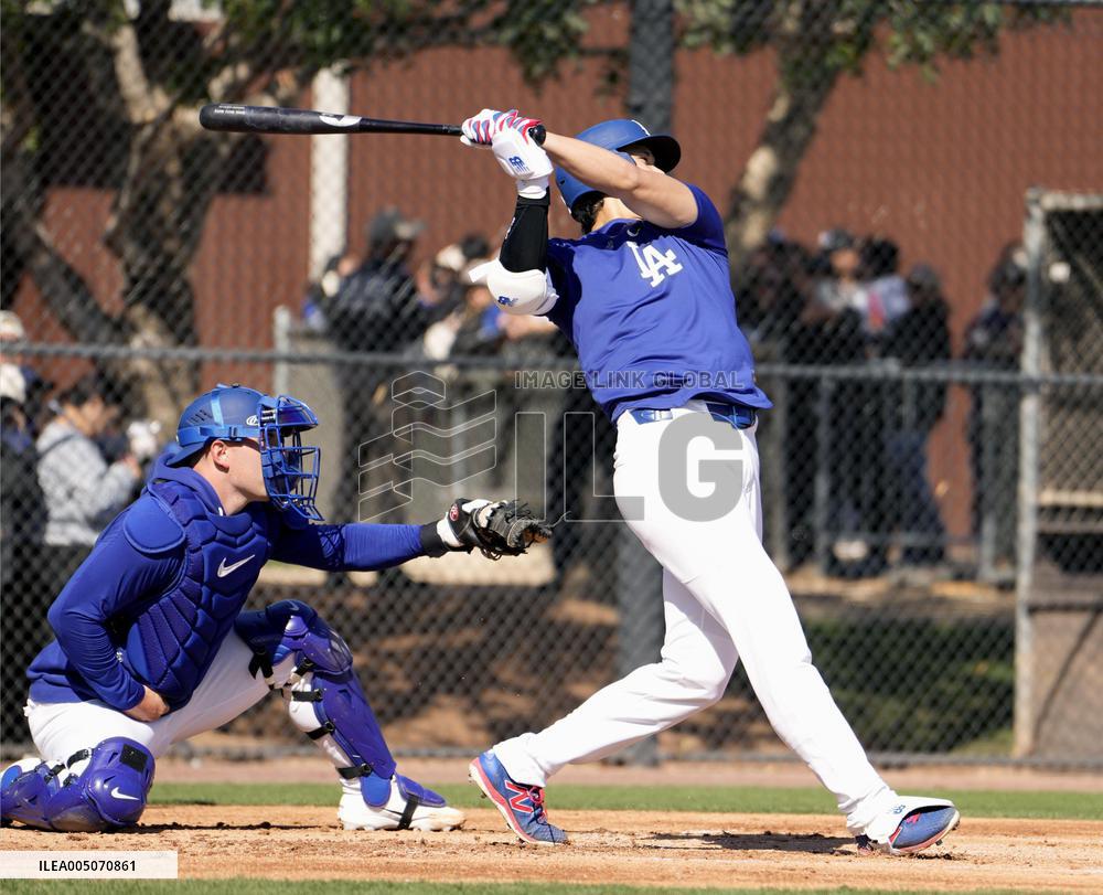 Baseball: MLB spring training