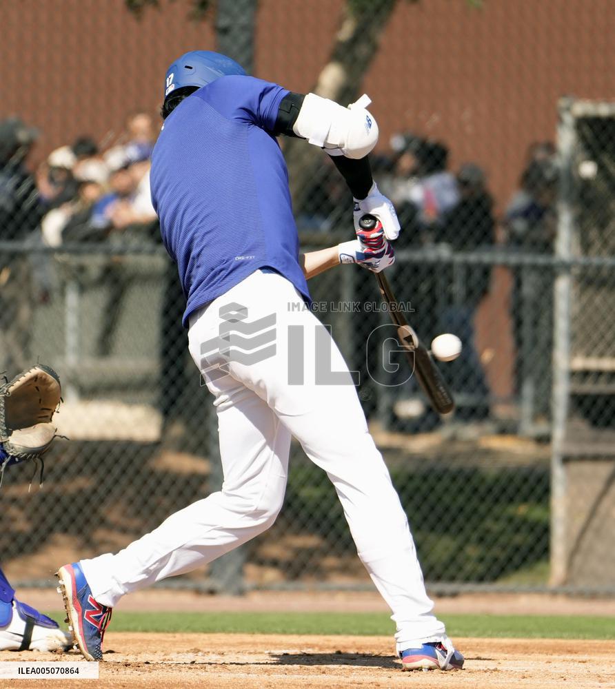 Baseball: MLB spring training