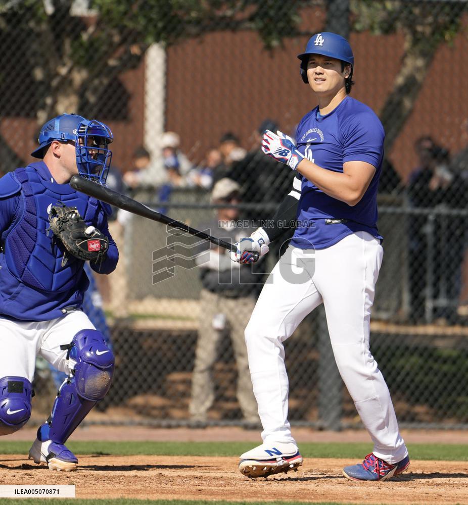 Baseball: MLB spring training