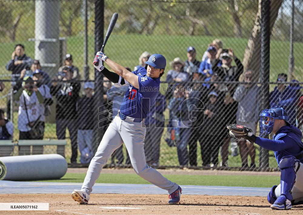 Baseball: MLB spring training